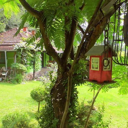 Etno-Kuca "Leka" Klisura Despotovac Exterior foto