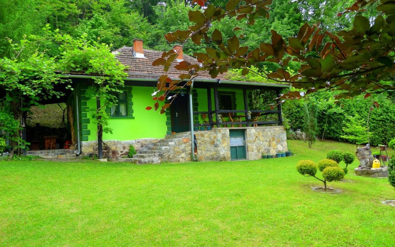 Etno-Kuca "Leka" Klisura Despotovac Exterior foto