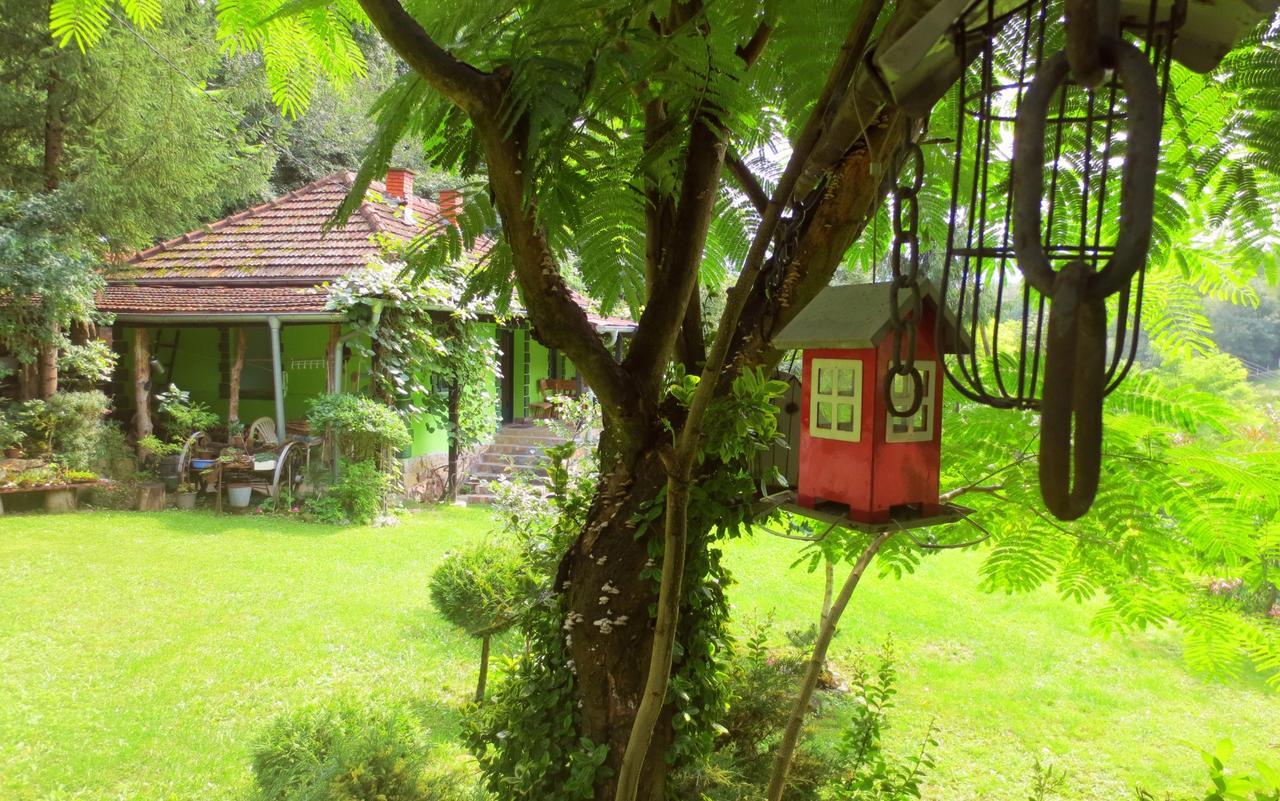 Etno-Kuca "Leka" Klisura Despotovac Exterior foto